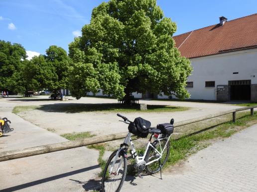 Rast am Braunviehstall - die Idee zur Ausstellung entsteht!