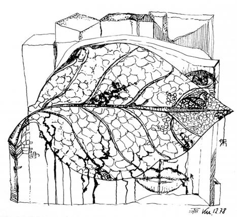 Blattfisch, Tusche auf Karton, 12 x 14 cm