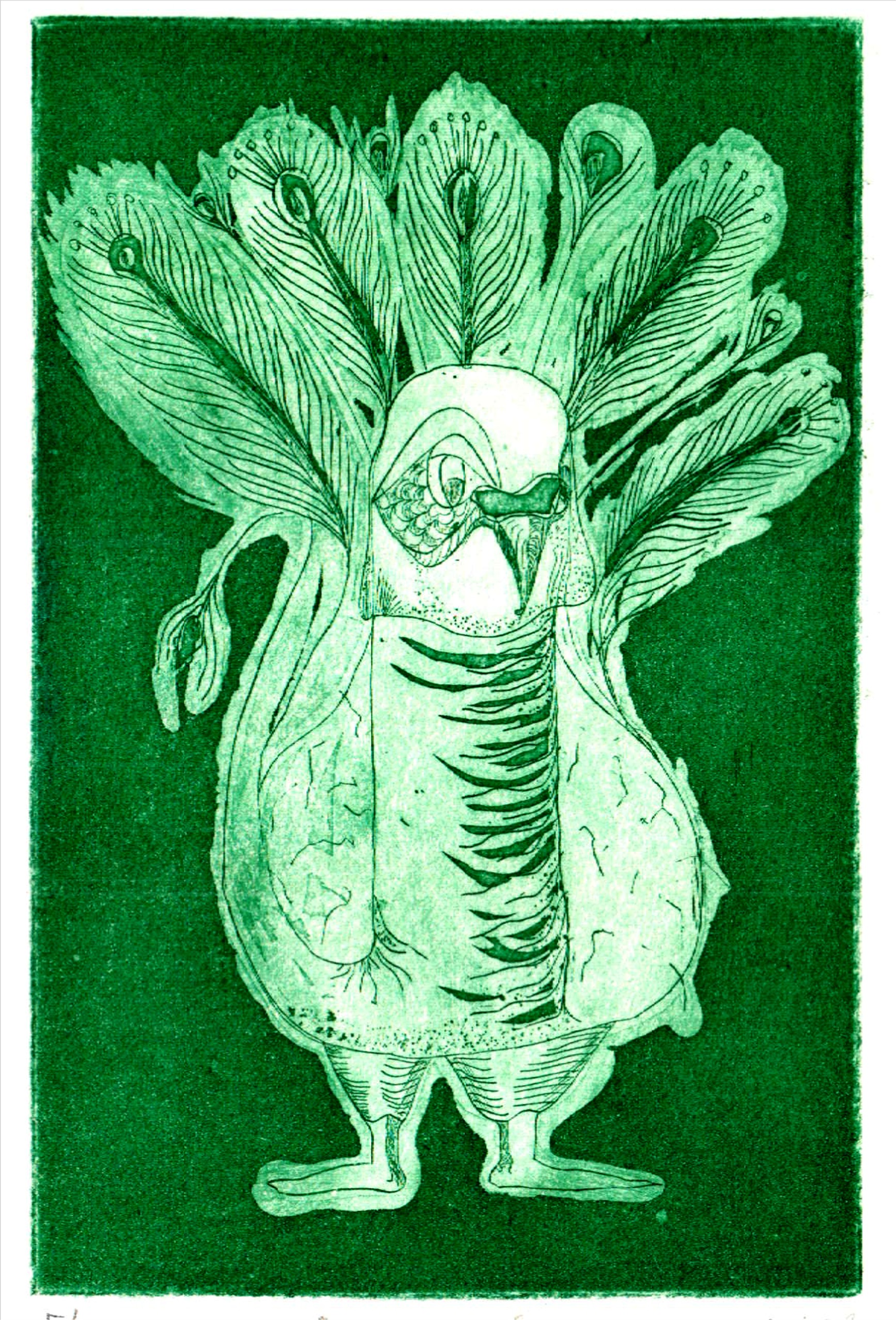 Penisvogel, 9,5 x 15 cm