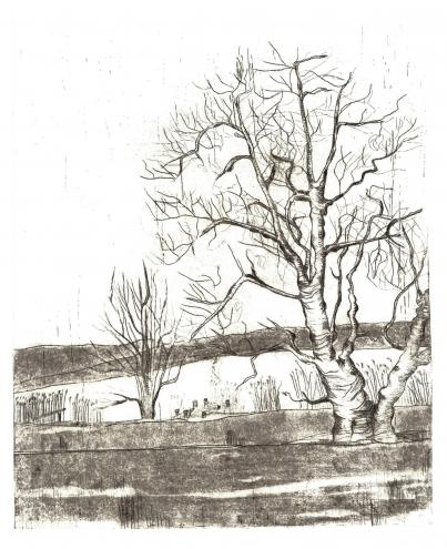 Baum am See, 19,5 x 24,5 cm