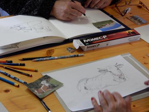 Workshop "Kühe zeichnen" mit Julia Bergmann