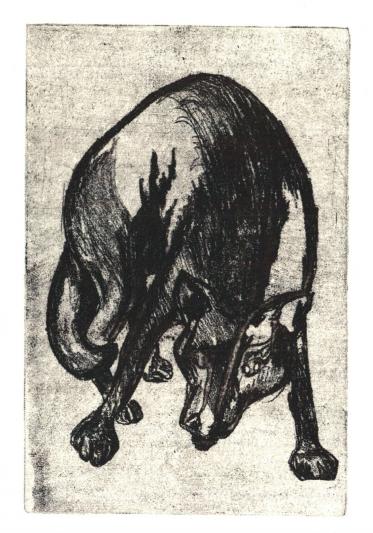 Wolf, 9,5 x 14,5 cm